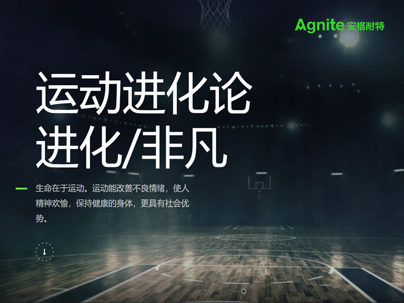 Agnite安格耐特