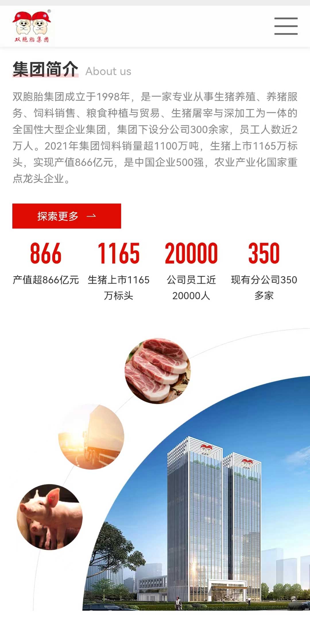 雙胞胎集團(tuán)官網(wǎng)